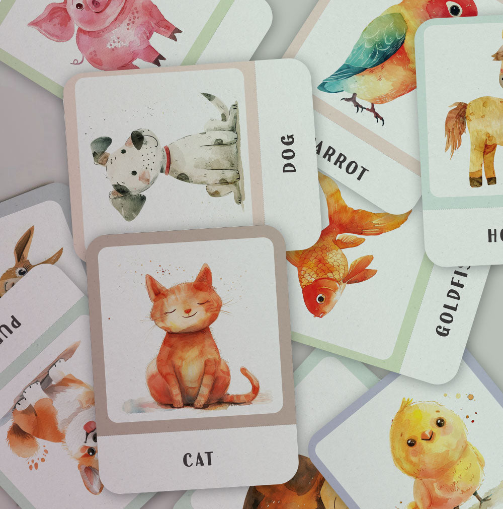 Flash Cards - Animals