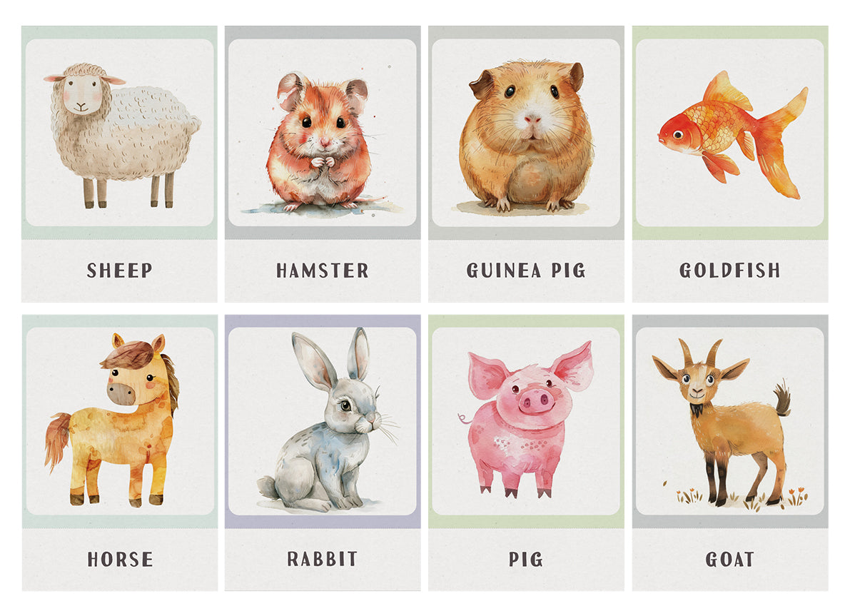 Flash Cards - Animals