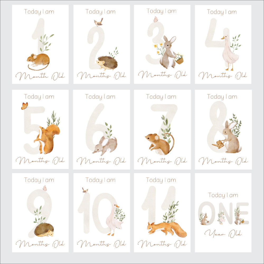 Milestone Cards - Little One