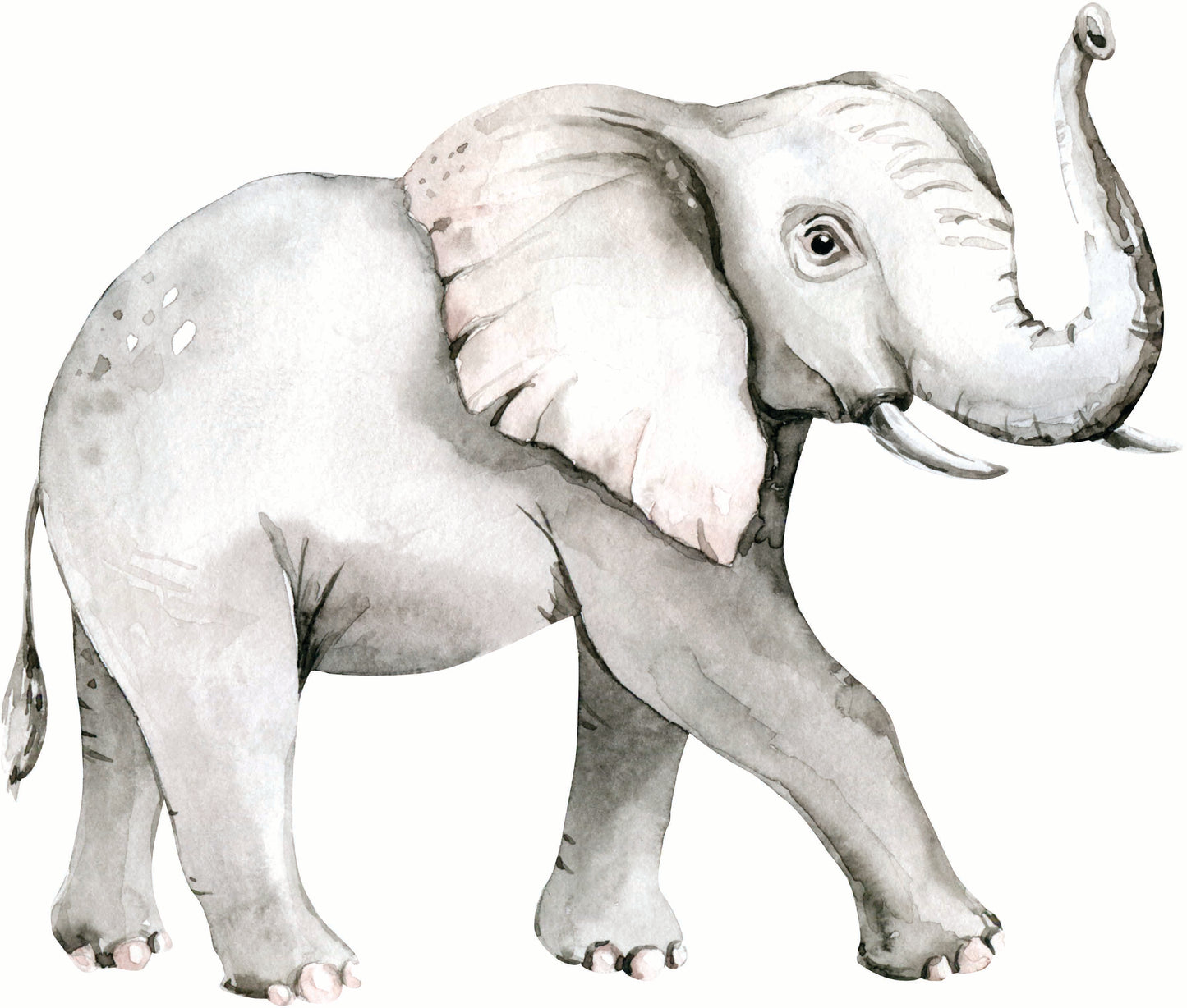 Animal Safari Wall Stickers