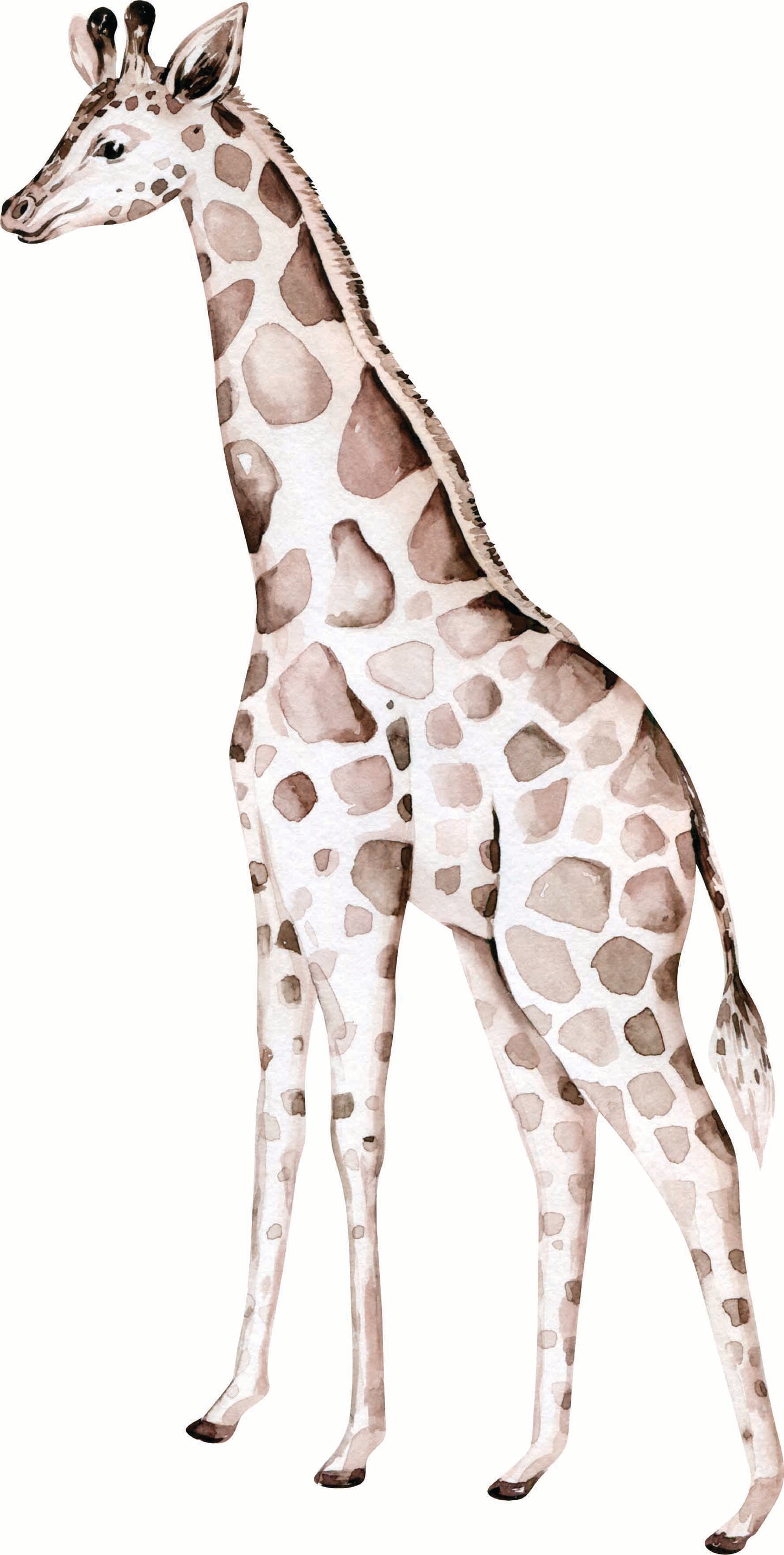 Animal Safari Wall Stickers