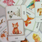 Flash Cards - Animals