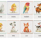 Flash Cards - Animals