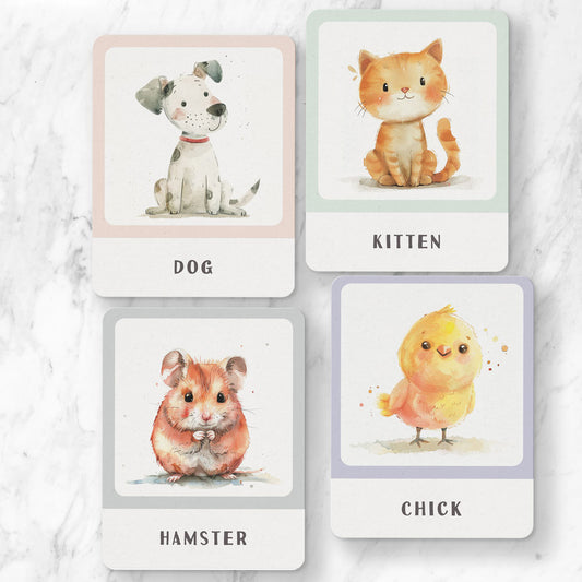 Flash Cards - Animals