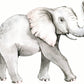 Animal Safari Wall Stickers