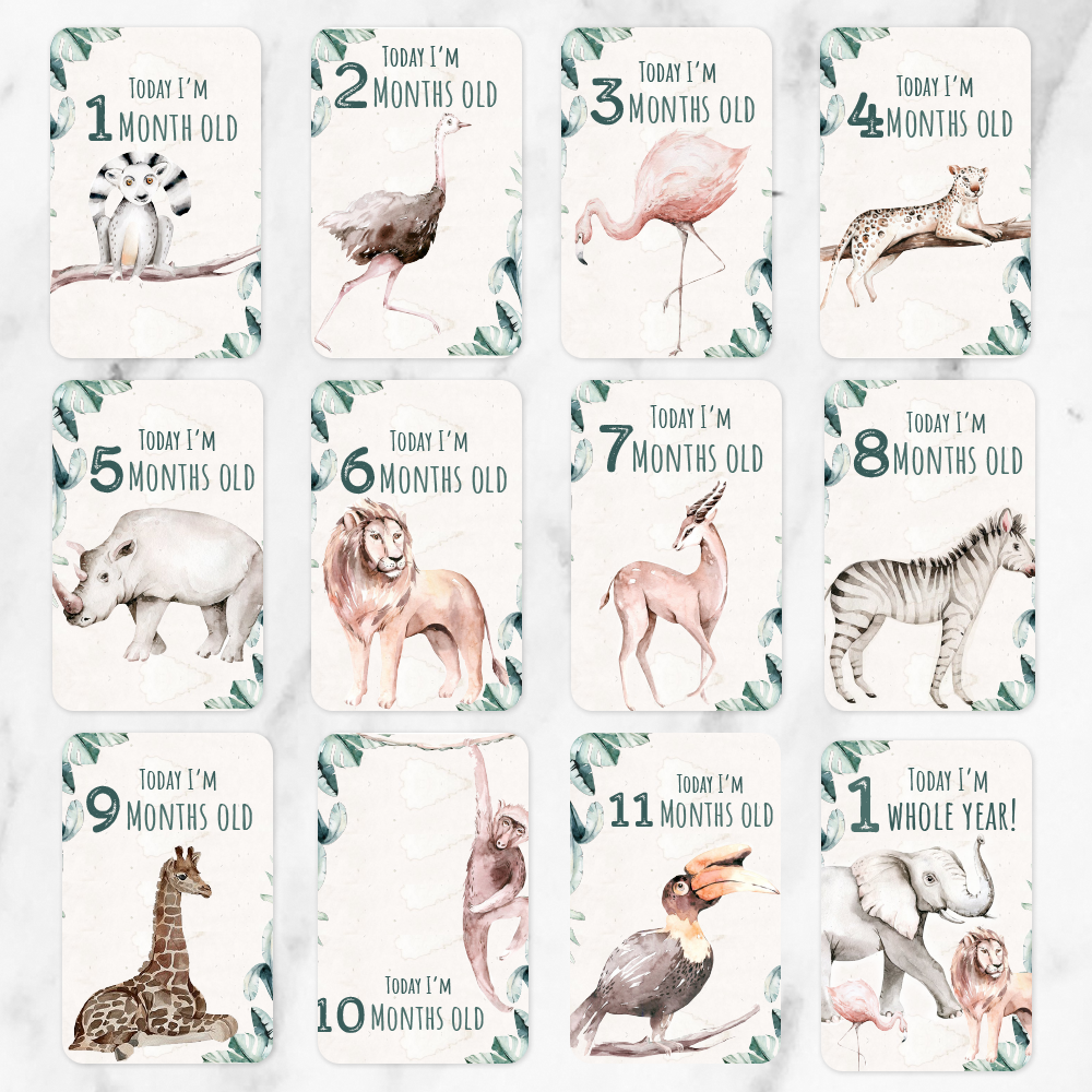 Milestone Cards - Into the Wild