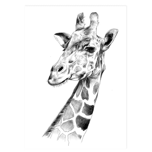 Giraffe - Black & White