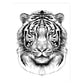 Tiger - Black & White