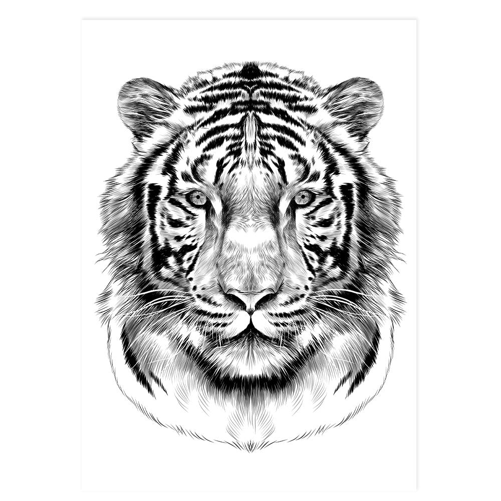 Tiger - Black & White