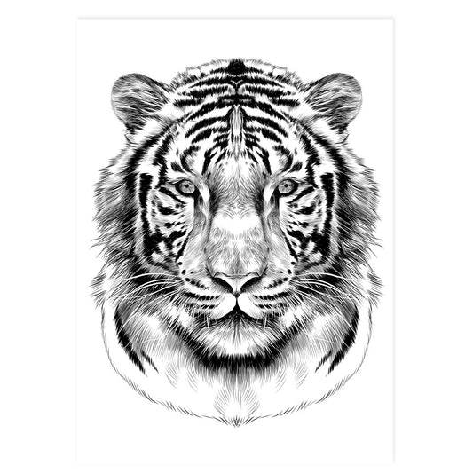 Tiger - Black & White